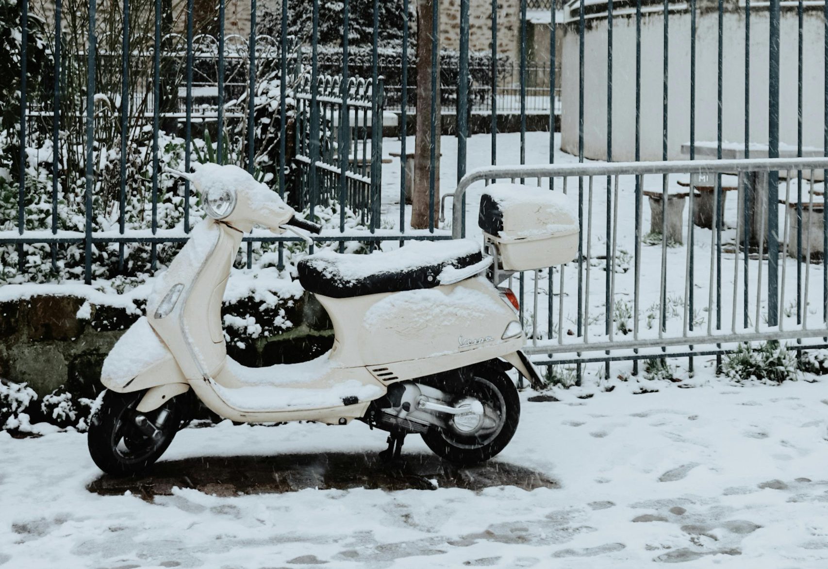 Winter scooter